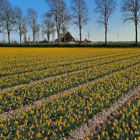 Spacious De Pauwenhof, Cleaning Included Heiloo